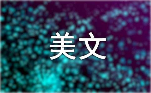 尽情飞翔美文摘抄