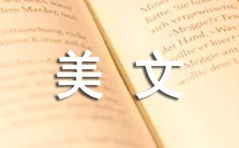 心里温暖的情感美文