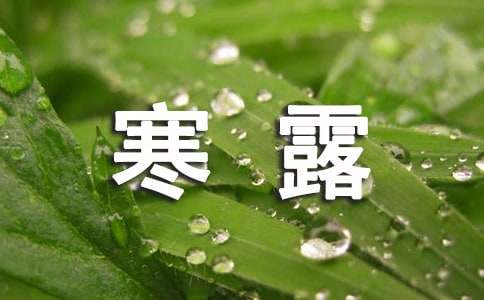 寒露唯美文案